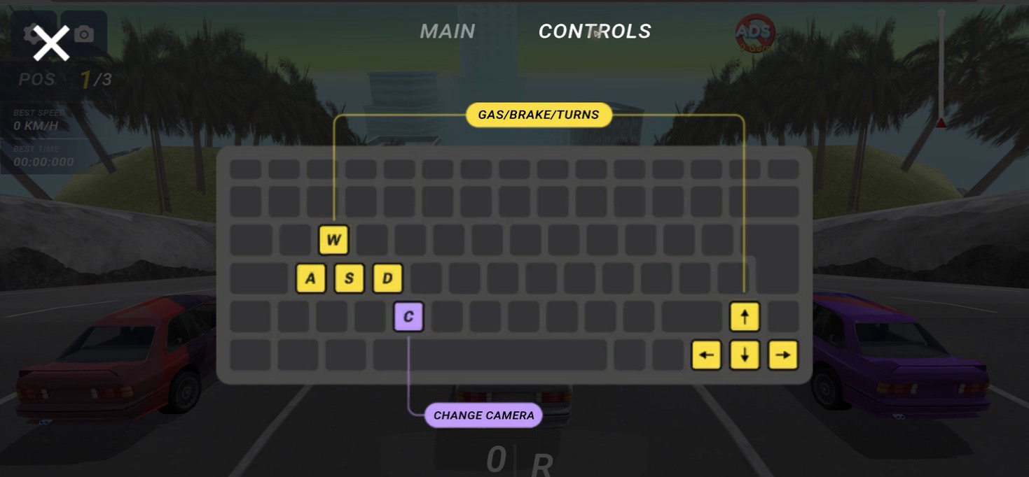 Deadly Descent Controls settings tab showing gas, brake, steering, arrow keys, and camera change